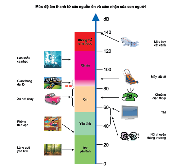 Ảnh hưởng của tiếng ồn